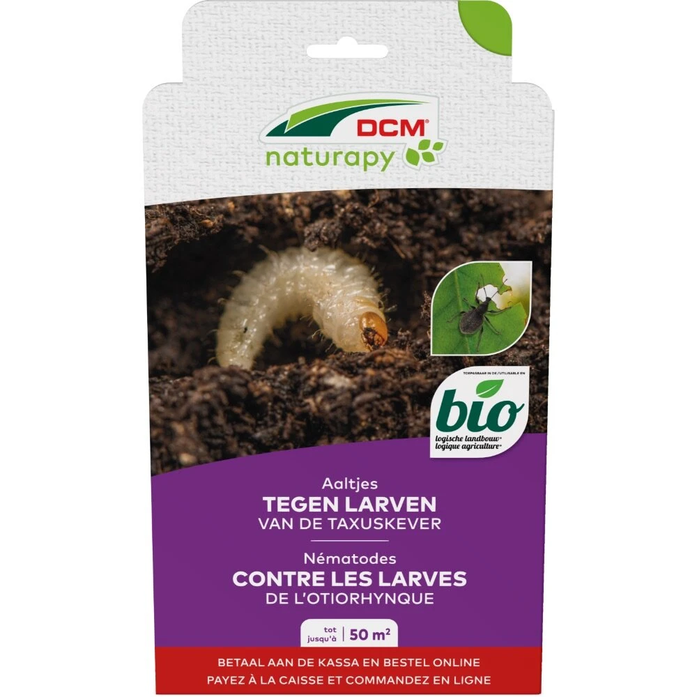 DCM Aaltjes Tegen Larven Van De Taxuskever (Kraussi-Guard®) - Bestelcode - 50 M² (25 Mio. Aaltjes) 1 DCM Aaltjes Tegen Larven Van De Taxuskever (Kraussi-Guard®) - Bestelcode - 50 M² (25 Mio. Aaltjes)