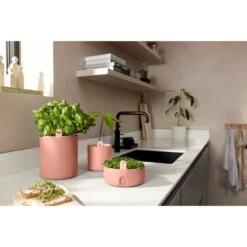 Elho Amazing Avocado Pot Bruin -Tuinserie Winkel elho amazing avocado pot bruin 1000x1000 64aeba7d859e3 l