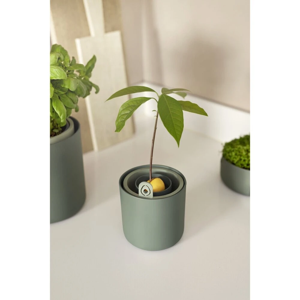 Elho Amazing Avocado Pot Groen 6 Elho Amazing Avocado Pot Groen - Afbeelding 6