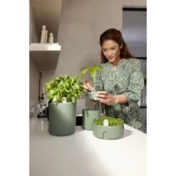 Elho Amazing Avocado Pot Groen 15 Elho Amazing Avocado Pot Groen -Tuinserie Winkel elho amazing avocado pot groen 1000x1000 64aeba7b64812 l