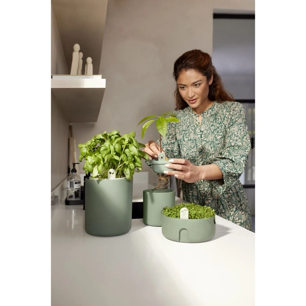 Elho Amazing Avocado Pot Groen 8 Elho Amazing Avocado Pot Groen - Afbeelding 8