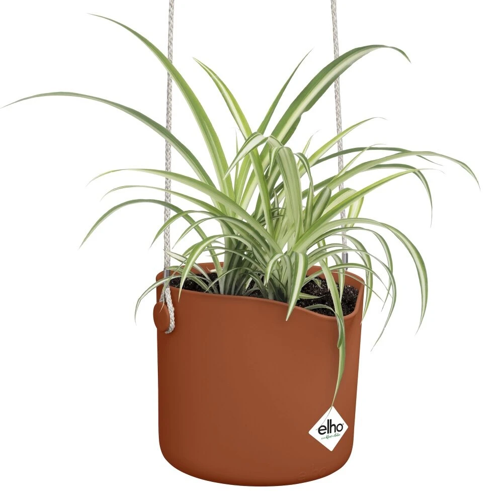 Elho B.for Swing 18 Cm Bruin 3 Elho B.for Swing 18 Cm Bruin - Afbeelding 3