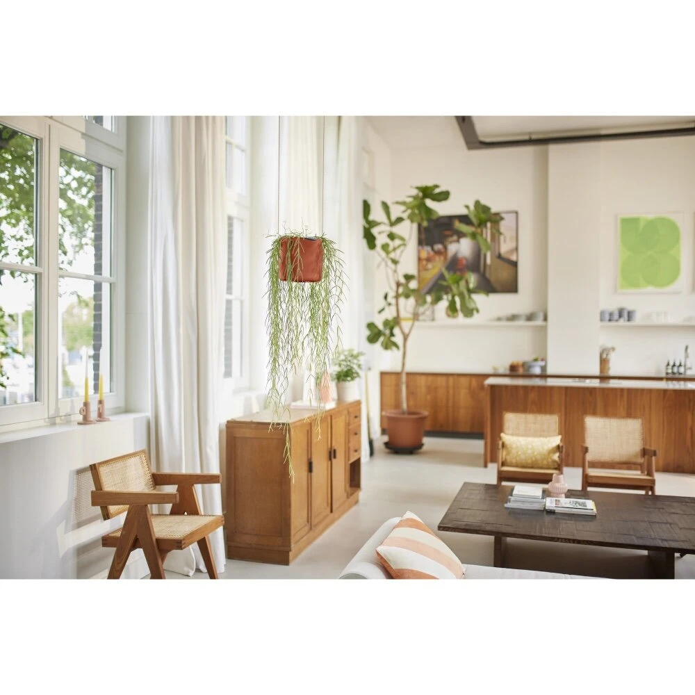 Elho B.for Swing 18 Cm Bruin 8 Elho B.for Swing 18 Cm Bruin - Afbeelding 8