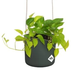 Elho B.for Swing 18 Cm Groen -Tuinserie Winkel elho b for swing 18 cm groen 1000x1000 64aebb4692988 l