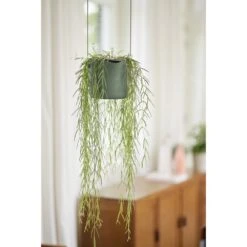Elho B.for Swing 18 Cm Groen -Tuinserie Winkel elho b for swing 18 cm groen 1000x1000 64aebb47a6776 l