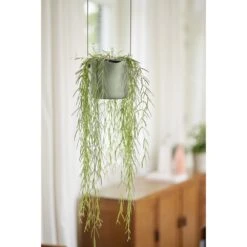 Elho B.for Swing 18 Cm Groen -Tuinserie Winkel elho b for swing 18 cm groen 1000x1000 64aebb4bbd18d l