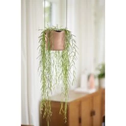 Elho B.for Swing 18 Cm Roze 15 Elho B.for Swing 18 Cm Roze -Tuinserie Winkel elho b for swing 18 cm roze 1000x1000 64aebb450b440 l