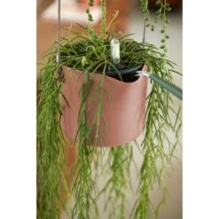 Elho B.for Swing 18 Cm Roze 17 Elho B.for Swing 18 Cm Roze -Tuinserie Winkel elho b for swing 18 cm roze 1000x1000 64aebb45b65fe l