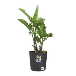 Elho Bloempot Greensense Aqua Care Rond 35cm Grijs -Tuinserie Winkel elho bloempot greensense aqua care rond 35cm grijs 800x800 620e3d9228235 l