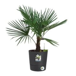 Elho Bloempot Greensense Aqua Care Rond 35cm Grijs -Tuinserie Winkel elho bloempot greensense aqua care rond 35cm grijs 800x800 620e3d926bd64 l