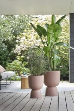 Elho Bloempot Pure Coupe 41cm Bruin 13 Elho Bloempot Pure Coupe 41cm Bruin -Tuinserie Winkel elho bloempot pure coupe 41cm bruin 534x800 620e3d1775e77 l