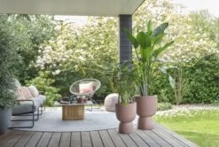 Elho Bloempot Pure Coupe 41cm Bruin 12 Elho Bloempot Pure Coupe 41cm Bruin -Tuinserie Winkel elho bloempot pure coupe 41cm bruin 800x537 620e3d16c21ad l