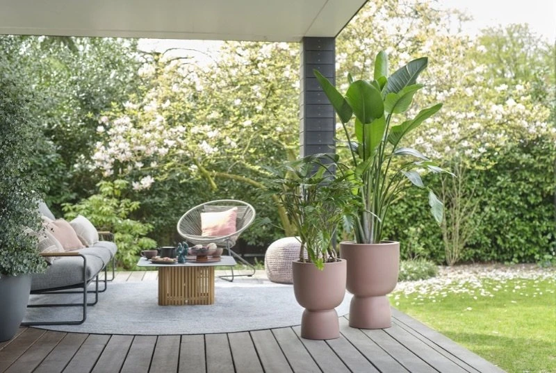 Elho Bloempot Pure Coupe 41cm Bruin 6 Elho Bloempot Pure Coupe 41cm Bruin - Afbeelding 6