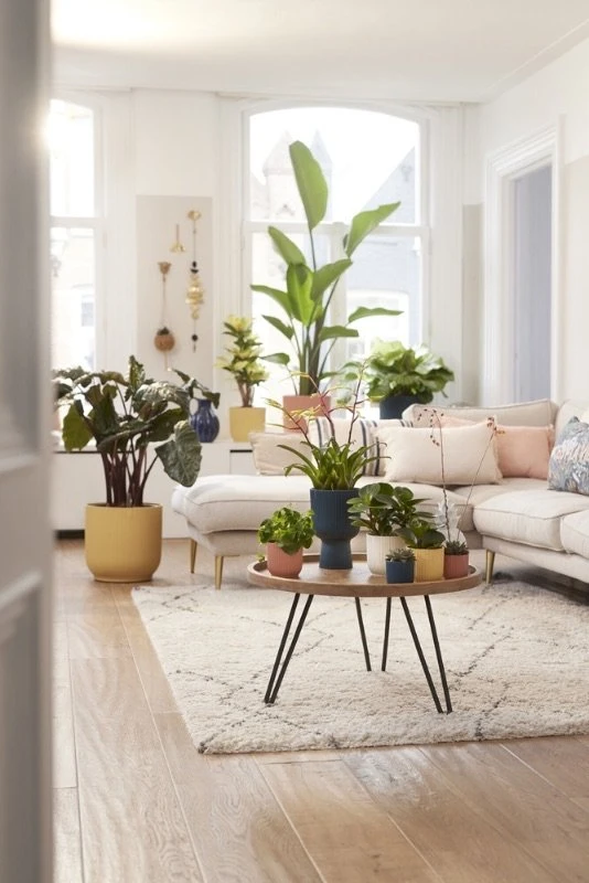 Elho Bloempot Vibes Fold Rond 25cm Blauw 6 Elho Bloempot Vibes Fold Rond 25cm Blauw - Afbeelding 6