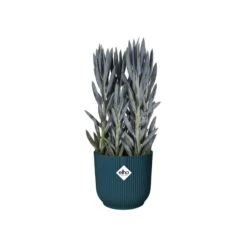 Elho Bloempot Vibes Fold Rond 25cm Blauw 10 Elho Bloempot Vibes Fold Rond 25cm Blauw -Tuinserie Winkel elho bloempot vibes fold rond 25cm blauw 800x800 620e3cdcab7ac l