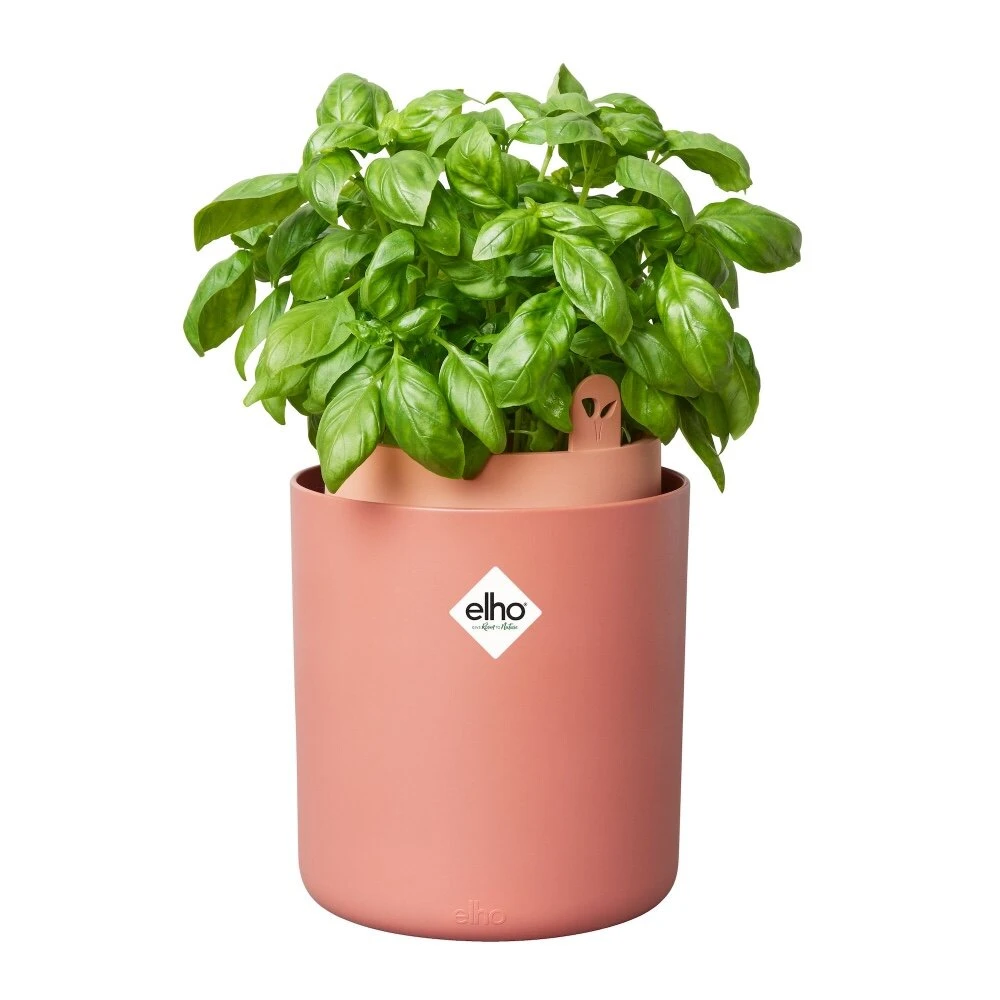 Elho Bouncy Basil Bruin 2 Elho Bouncy Basil Bruin - Afbeelding 2