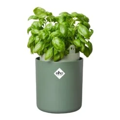 Tuinserie Winkel -Tuinserie Winkel elho bouncy basil groen 1000x1000 64aebaef226be l