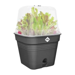 Elho Green Basics Kweekpot Vierk. Allin1 35 Cm Zwart 11 Elho Green Basics Kweekpot Vierk. Allin1 35 Cm Zwart -Tuinserie Winkel elho green basics kweekpot vierk allin1 35 cm zwart 1000x1000 64aebaeccc28b l