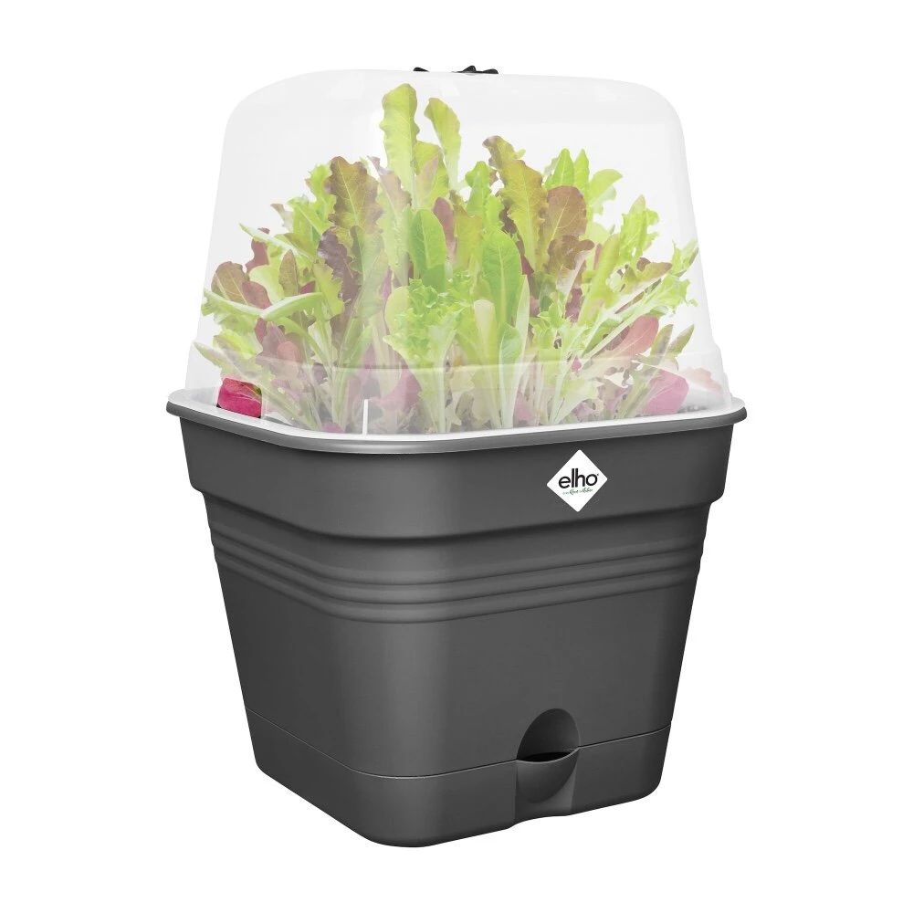 Elho Green Basics Kweekpot Vierk. Allin1 35 Cm Zwart 3 Elho Green Basics Kweekpot Vierk. Allin1 35 Cm Zwart - Afbeelding 3