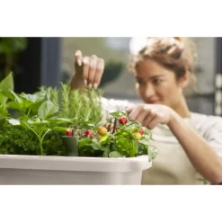 Elho Noa Kweektafel Grijs -Tuinserie Winkel elho noa kweektafel grijs 1000x1000 64aebac703c5b l