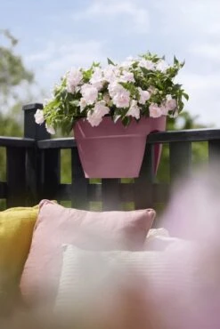 Elho Plantenbak Vibia Campana Flower Bridge 40cm Roze -Tuinserie Winkel elho plantenbak vibia campana flower bridge 40cm roze 534x800 620e3d1c11a24 l