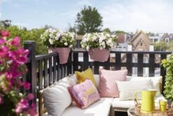 Elho Plantenbak Vibia Campana Flower Bridge 40cm Roze -Tuinserie Winkel elho plantenbak vibia campana flower bridge 40cm roze 800x534 620e3d1aea3b2 l