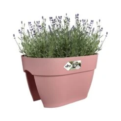 Elho Plantenbak Vibia Campana Flower Bridge 40cm Roze -Tuinserie Winkel elho plantenbak vibia campana flower bridge 40cm roze 800x800 620e3d1a547e1 l