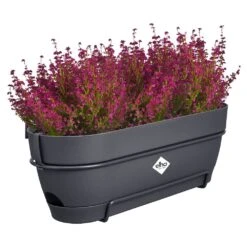 Elho Vibia Campana Balkonbak Allin1 50 Cm Zwart 9 Elho Vibia Campana Balkonbak Allin1 50 Cm Zwart -Tuinserie Winkel elho vibia campana balkonbak allin1 50 cm zwart 1000x1000 64aebb08e39c9 l