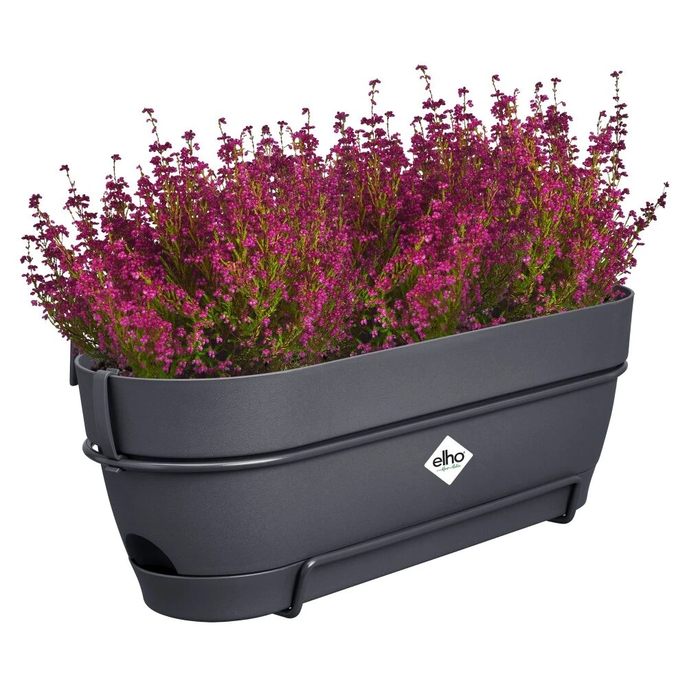 Elho Vibia Campana Balkonbak Allin1 50 Cm Zwart 3 Elho Vibia Campana Balkonbak Allin1 50 Cm Zwart - Afbeelding 3