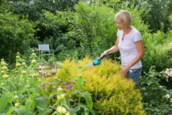 GARDENA Accu Gras- En Buxusschaar Set Accucut Li 6 GARDENA Accu Gras- En Buxusschaar Set Accucut Li -Tuinserie Winkel gardena accu gras en buxusschaar set accucut li 1619704816 l