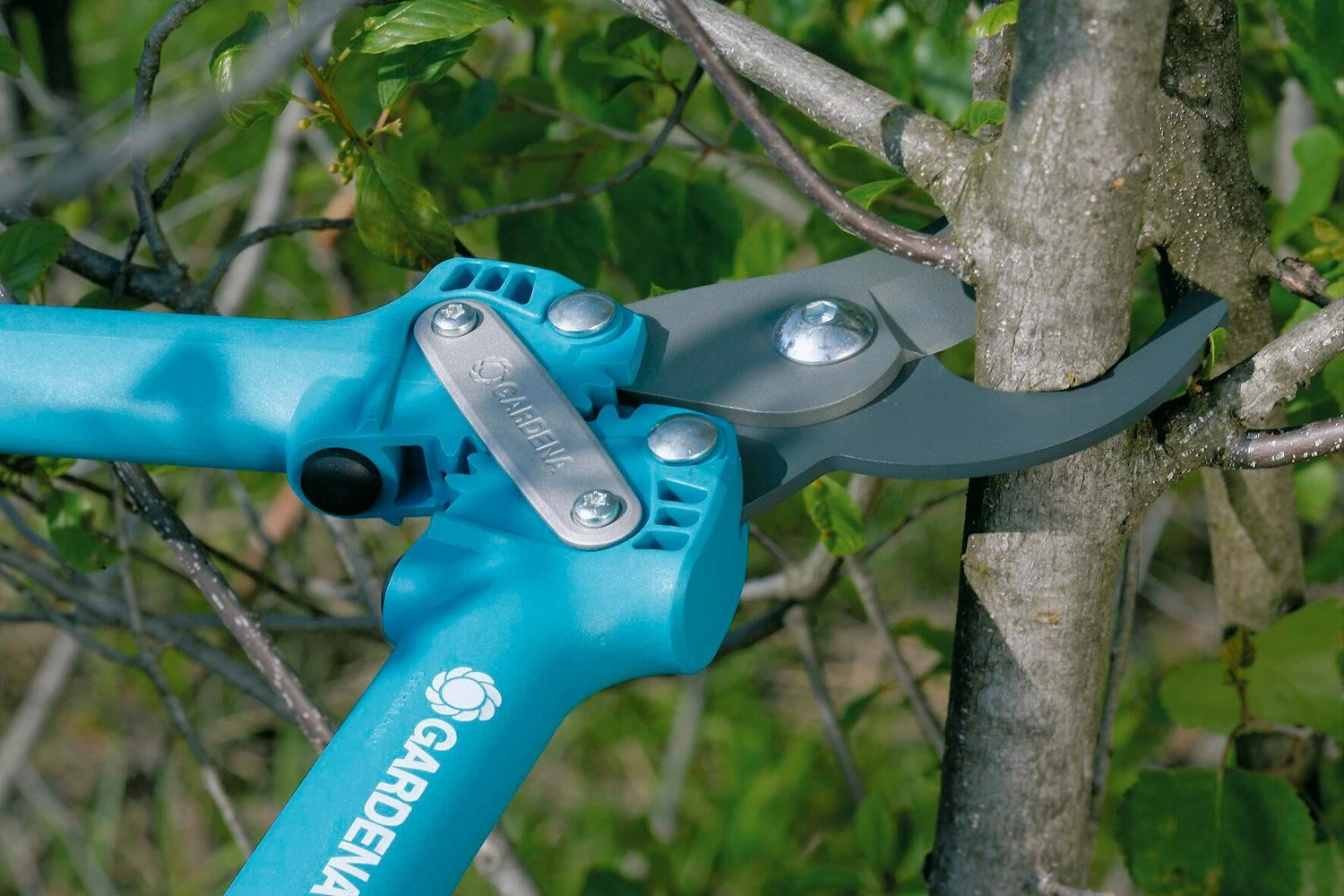 GARDENA Comfort Takkenschaar 500 Bl 4 GARDENA Comfort Takkenschaar 500 Bl - Afbeelding 4