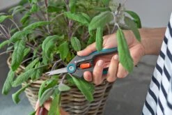 GARDENA FreshCut 7 GARDENA FreshCut -Tuinserie Winkel gardena freshcut 1500x1000 640af8175f65c l