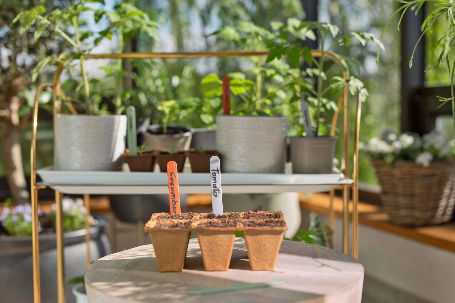 GARDENA FreshCut Set 4 GARDENA FreshCut Set - Afbeelding 4