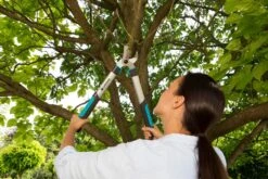 GARDENA Takkenschaar EasyCut 500 B 5 GARDENA Takkenschaar EasyCut 500 B -Tuinserie Winkel gardena takkenschaar easycut 500 b 1500x1000 640af7e5d4f80 l