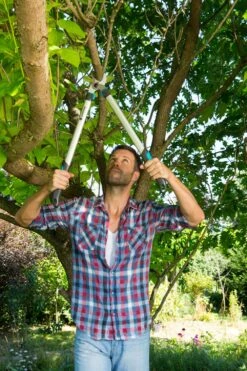 GARDENA Takkenzaag EasyCut 680 B (12003 + 8754 E12) -Tuinserie Winkel gardena takkenschaar easycut 680 b 8754 1000x1500 640af7ec497bd l