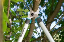 GARDENA Takkenzaag EasyCut 680 B (12003 + 8754 E12) -Tuinserie Winkel gardena takkenschaar easycut 680 b 8754 1500x1001 640af7ebad3ab l