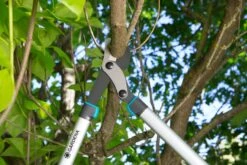 GARDENA Takkenschaar EnergyCut 750 B -Tuinserie Winkel gardena takkenschaar energycut 750 b 1500x1000 640af848a316f l