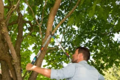 GARDENA Takkenschaar TeleCut Long 650-900 B -Tuinserie Winkel gardena telecut long 650 900b 1500x1001 640af7f15744f l