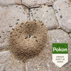 Pokon Tegen Mieren Korrels 400gr -Tuinserie Winkel pokon tegen mieren korrels 400gr 1000x1000 6221fb52c5ede l